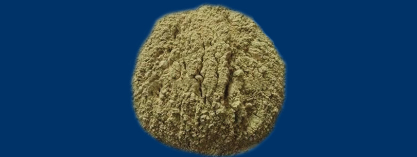 blog-image
